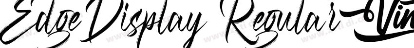 EdgeDisplay Regular字体转换